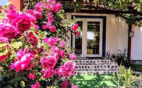 Teo Guest Rooms